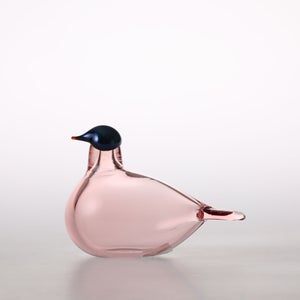 Birds Chiffchaff サーモンピンク 0093