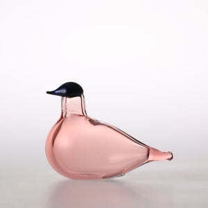 Birds Chiffchaff サーモンピンク 0095