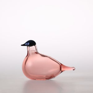 Birds Chiffchaff サーモンピンク 0096