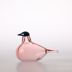 Birds Chiffchaff サーモンピンク 0099