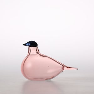 Birds Chiffchaff サーモンピンク 0100