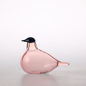 Birds Chiffchaff サーモンピンク 0104