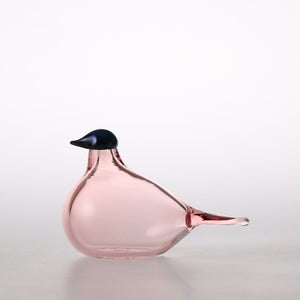 Birds Chiffchaff サーモンピンク 0105