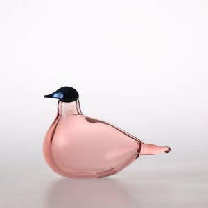 Birds Chiffchaff サーモンピンク 0107