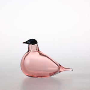 Birds Chiffchaff サーモンピンク 0110