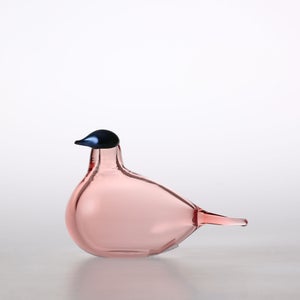 Birds Chiffchaff サーモンピンク 0112