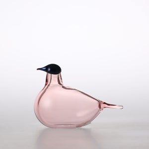 Birds Chiffchaff サーモンピンク 0114