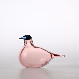 Birds Chiffchaff サーモンピンク 0117