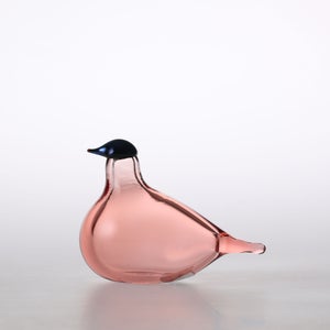 Birds Chiffchaff サーモンピンク 0120