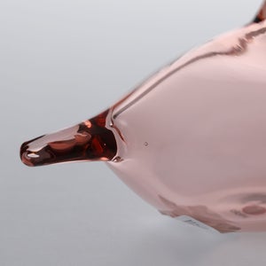 Birds Chiffchaff サーモンピンク 0058