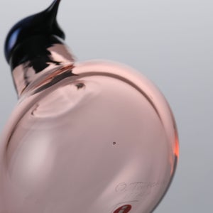 Birds Chiffchaff サーモンピンク 0060