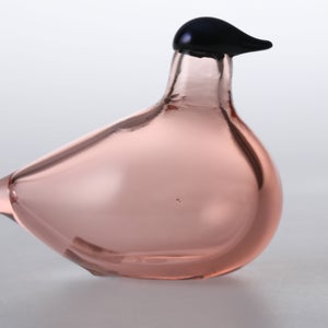 Birds Chiffchaff サーモンピンク 0075