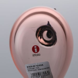 Birds Chiffchaff サーモンピンク 0079