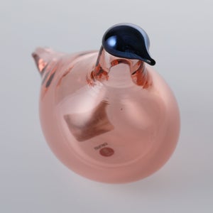 Birds Chiffchaff サーモンピンク 0082