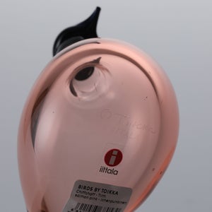 Birds Chiffchaff サーモンピンク 0096