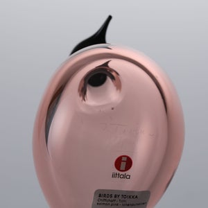 Birds Chiffchaff サーモンピンク 0098