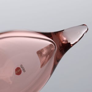 Birds Chiffchaff サーモンピンク 0110