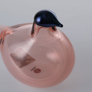 Birds Chiffchaff サーモンピンク 0112