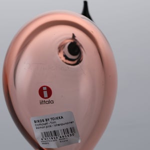 Birds Chiffchaff サーモンピンク 0118