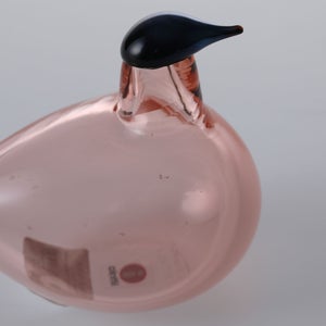 Birds Chiffchaff サーモンピンク 0080