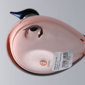 Birds Chiffchaff サーモンピンク 0087