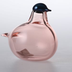 Birds Chiffchaff サーモンピンク 0097