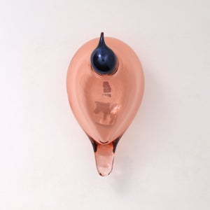 Birds Chiffchaff サーモンピンク 0055