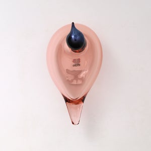 Birds Chiffchaff サーモンピンク 0058