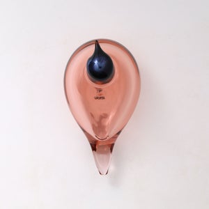 Birds Chiffchaff サーモンピンク 0110