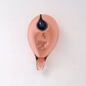 Birds Chiffchaff サーモンピンク 0118