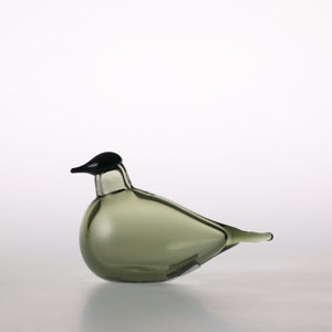 Birds Chiffchaff パイングリーン 0064