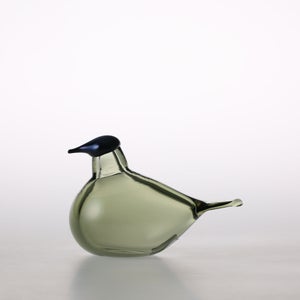 Birds Chiffchaff パイングリーン 0068