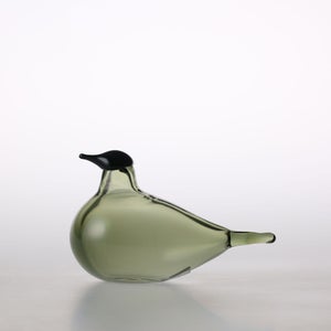 Birds Chiffchaff パイングリーン 0080