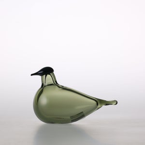 Birds Chiffchaff パイングリーン 0081