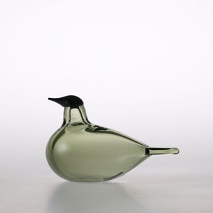 Birds Chiffchaff パイングリーン 0084