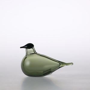 Birds Chiffchaff パイングリーン 0088