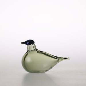 Birds Chiffchaff パイングリーン 0093