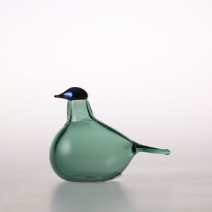 Birds Chiffchaff パイングリーン 0094