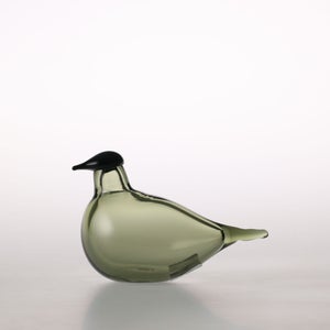 Birds Chiffchaff パイングリーン 0096