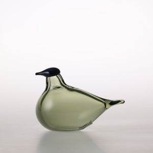 Birds Chiffchaff パイングリーン 0097