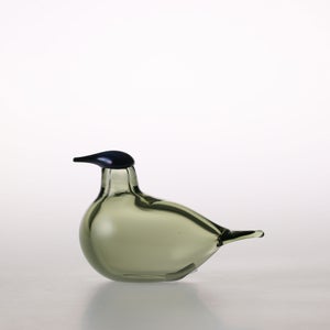 Birds Chiffchaff パイングリーン 0101