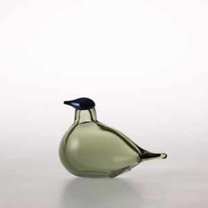 Birds Chiffchaff パイングリーン 0112