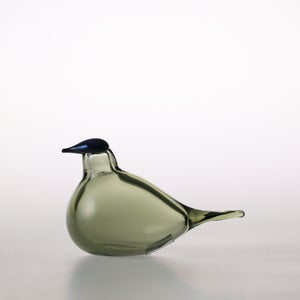 Birds Chiffchaff パイングリーン 0114