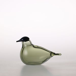 Birds Chiffchaff パイングリーン 0117