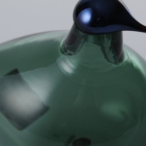 Birds Chiffchaff パイングリーン 0078