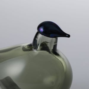 Birds Chiffchaff パイングリーン 0093