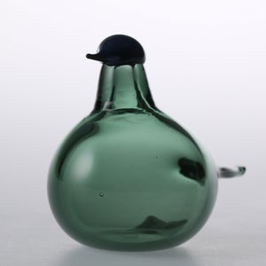 Birds Chiffchaff パイングリーン 0105