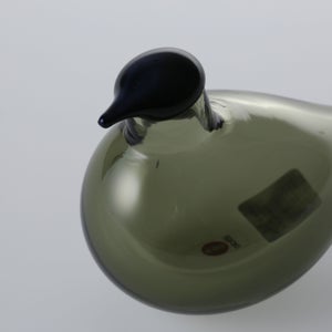 Birds Chiffchaff パイングリーン 0106