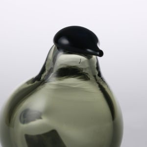 Birds Chiffchaff パイングリーン 0117