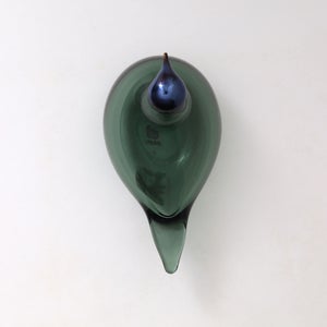 Birds Chiffchaff パイングリーン 0078